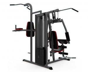 Силовой комплекс DFC D7004 (D7003 + опция брусья). Многофункциональный силовой комплекс DFC D7004 оснащён множеством снарядов для упражнений на все группы мышц. Максимальный вес пользователя до 120 кг. Профиль основной трубы 70 х 50 х 1,5 мм. 11 весовых п