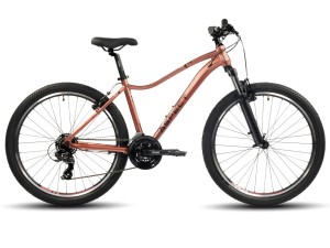 Велосипед Aspect Oasis Светло-оранжевый.

Женский велосипед Aspect Oasis (2024) достойно принимает вызовы разных по сложности типов трасс. 
Модель укомплектована начальным уровнем оборудования. 
Переключатель Shimano Tourney RD-TY300D помогает комфортно и