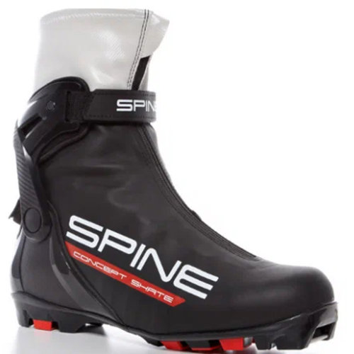 Ботинки NNN SPINE Concept Skate 296-22 38р.