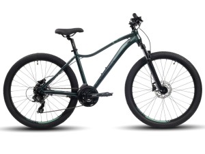 Велосипед Aspect Oasis HD Зеленый

Aspect Oasis HD (2024) ориентирован на активных девушек. 
Алюминиевая рама ALU 6061 Hydroformed DoubleButted InternalCables создаёт превосходную аэродинамику. 
Вилка GTMRK 330 100mm очень удобна для бездорожья. 
Ребристы