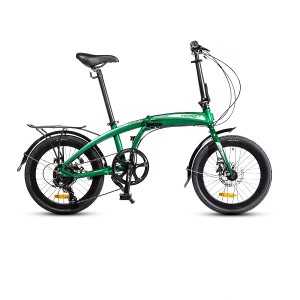 Велосипед 20' HORST Katran зеленый/серый