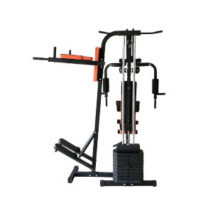 Многофункциональный тренажер с встроенным весовым стеком. Позволяет выполнять комплекс упражнений на различные группы мышц. Дополнительно тренажер имеет брусья для отжимания и степпер с гидроцилиндрами.
Удобные сиденье и спинка имеют фиксированное поло