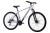 Hartman Ingword Disc 29" (2027)