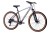 Hartman Ingword Pro Disc 29" (2027)