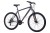 Hartman Ingword Disc 29" (2025)