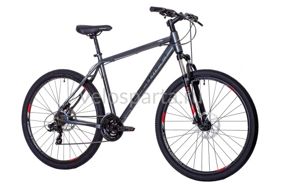 Hartman Ingword Disc 29" (2025)