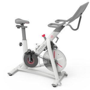 Велотренажер DFC Yesoul BS3-W-21.5 белый (дисп. 21.5')