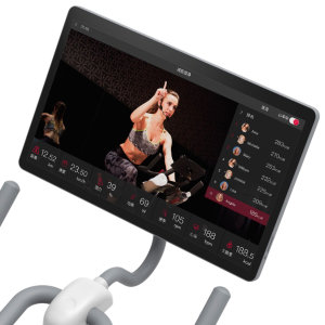 Велотренажер DFC Yesoul BS3-W-21.5 белый (дисп. 21.5')