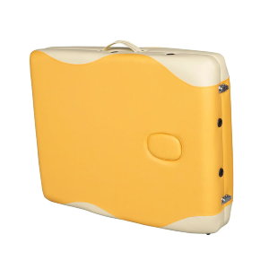 Массажный стол DFC NIRVANA модели ELEGANT PREMIUM TS2010_OB2 предназначен для домашнего и профессионального использования. Удобство конструкции позволяет использовать его не только для массажа, но и косметологических процедур (пилинг, обёртывание, талассо