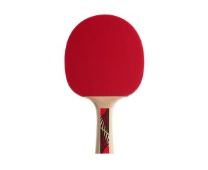 Ракетка DONIC LEGENDS 600.
Ракетка DONIC