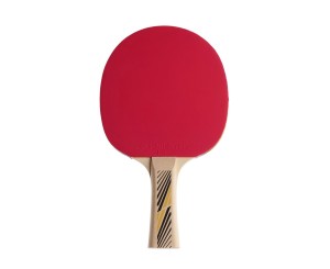 Ракетка DONIC LEGENDS 300.
Ракетка DONIC