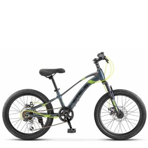 Велосипед Stels Leader-230 MD 20' Z010 (EP-00005889)