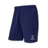 Шорты тренировочные с карманами Jogel PREMIER PerFormDRY Training Shorts, темно-синий Z5