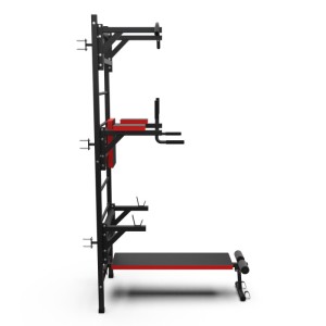 Шведская стенка с опциями DFC Lite VT-6005 (D-12345. Шведская стенка DFC VT-6005 – это высший уровень серии Lite. Благодаря максимальному количеству опций, вы сможете выполнять подтягивания двумя хватами, упражнения на брусьях и скамье со штангой (не вход