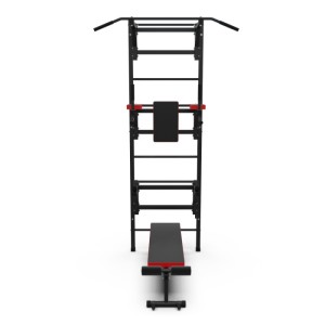 Шведская стенка с опциями DFC Lite VT-6005 (D-12345. Шведская стенка DFC VT-6005 – это высший уровень серии Lite. Благодаря максимальному количеству опций, вы сможете выполнять подтягивания двумя хватами, упражнения на брусьях и скамье со штангой (не вход