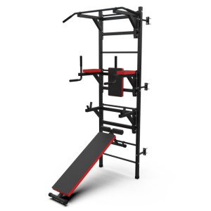 Шведская стенка с опциями DFC Lite VT-6005 (D-12345. Шведская стенка DFC VT-6005 – это высший уровень серии Lite. Благодаря максимальному количеству опций, вы сможете выполнять подтягивания двумя хватами, упражнения на брусьях и скамье со штангой (не вход