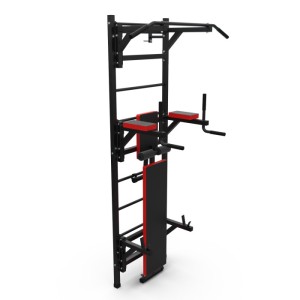 Шведская стенка с опциями DFC Lite VT-6005 (D-12345. Шведская стенка DFC VT-6005 – это высший уровень серии Lite. Благодаря максимальному количеству опций, вы сможете выполнять подтягивания двумя хватами, упражнения на брусьях и скамье со штангой (не вход