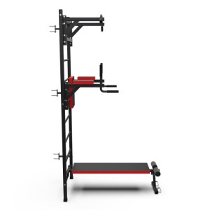 Шведская стенка с опциями DFC Lite VT-6006 (D-1235). Шведская стенка DFC VT-6006 – это средний уровень серии Lite. Благодаря большому количеству опций, вы сможете выполнять подтягивания двумя хватами, упражнения на брусьях и скамье с валиками. Этот тренаж