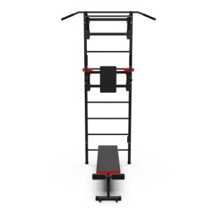 Шведская стенка с опциями DFC Lite VT-6006 (D-1235). Шведская стенка DFC VT-6006 – это средний уровень серии Lite. Благодаря большому количеству опций, вы сможете выполнять подтягивания двумя хватами, упражнения на брусьях и скамье с валиками. Этот тренаж