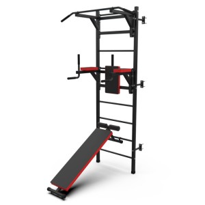 Шведская стенка с опциями DFC Lite VT-6006 (D-1235). Шведская стенка DFC VT-6006 – это средний уровень серии Lite. Благодаря большому количеству опций, вы сможете выполнять подтягивания двумя хватами, упражнения на брусьях и скамье с валиками. Этот тренаж