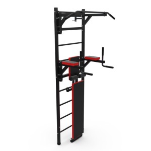 Шведская стенка с опциями DFC Lite VT-6006 (D-1235). Шведская стенка DFC VT-6006 – это средний уровень серии Lite. Благодаря большому количеству опций, вы сможете выполнять подтягивания двумя хватами, упражнения на брусьях и скамье с валиками. Этот тренаж