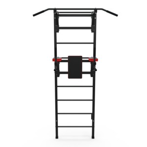 Шведская стенка с опциями DFC Lite VT-6007 (D-123). Шведская стенка DFC VT-6007 – лучшее компактное решение в серии Lite. Благодаря встроенным опциям, вы сможете выполнять подтягивания двумя хватами и упражнения на брусьях. Тренажёр станет отличным компак