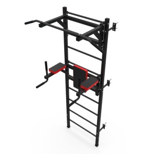 Шведская стенка с опциями DFC Lite VT-6007 (D-123). Шведская стенка DFC VT-6007 – лучшее компактное решение в серии Lite. Благодаря встроенным опциям, вы сможете выполнять подтягивания двумя хватами и упражнения на брусьях. Тренажёр станет отличным компак