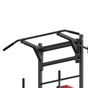 Шведская стенка с опциями DFC Lite VT-6007 (D-123). Шведская стенка DFC VT-6007 – лучшее компактное решение в серии Lite. Благодаря встроенным опциям, вы сможете выполнять подтягивания двумя хватами и упражнения на брусьях. Тренажёр станет отличным компак