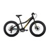 Велосипед 20' Forward Bizon Micro FatBike AL 19-20 г